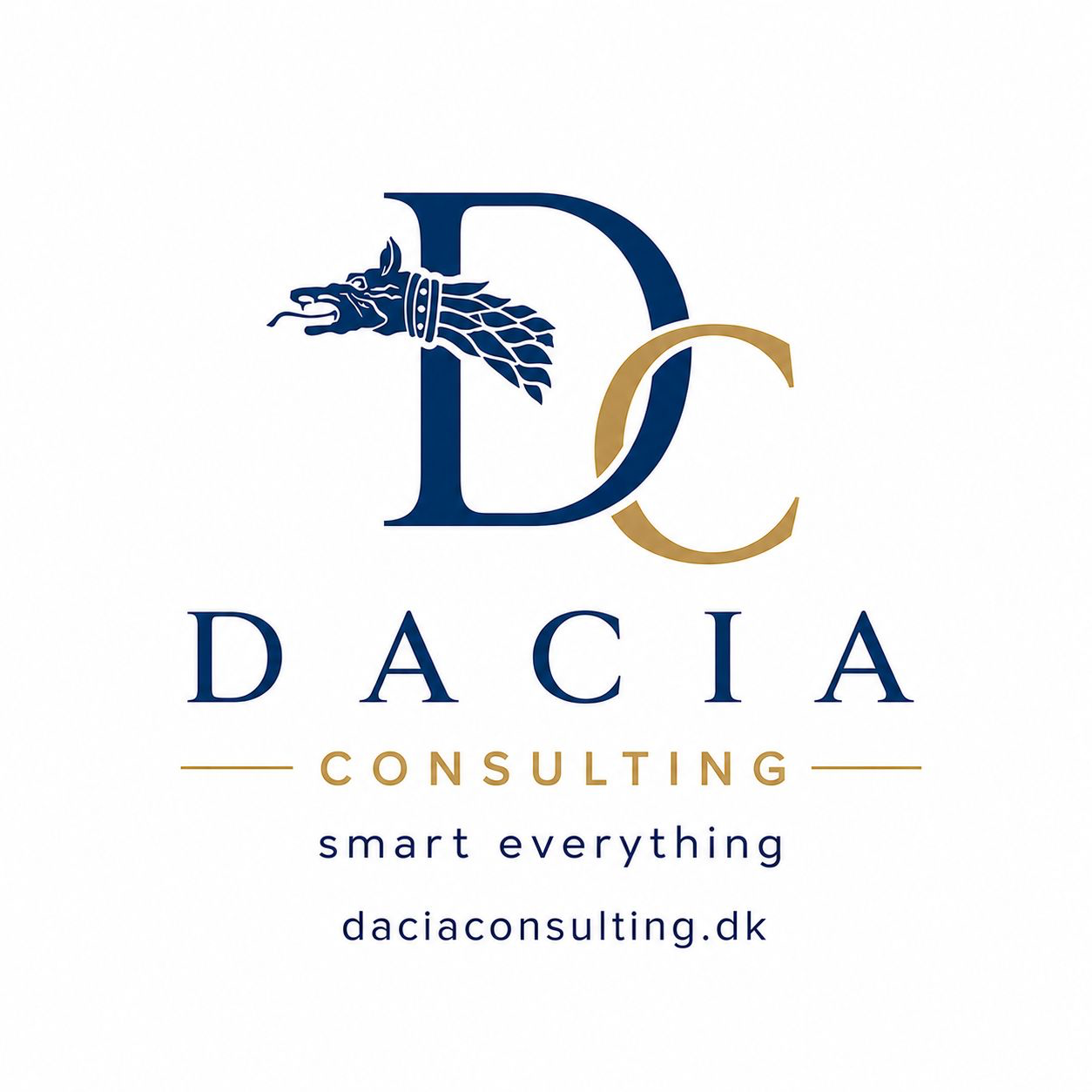 Dacia Consulting